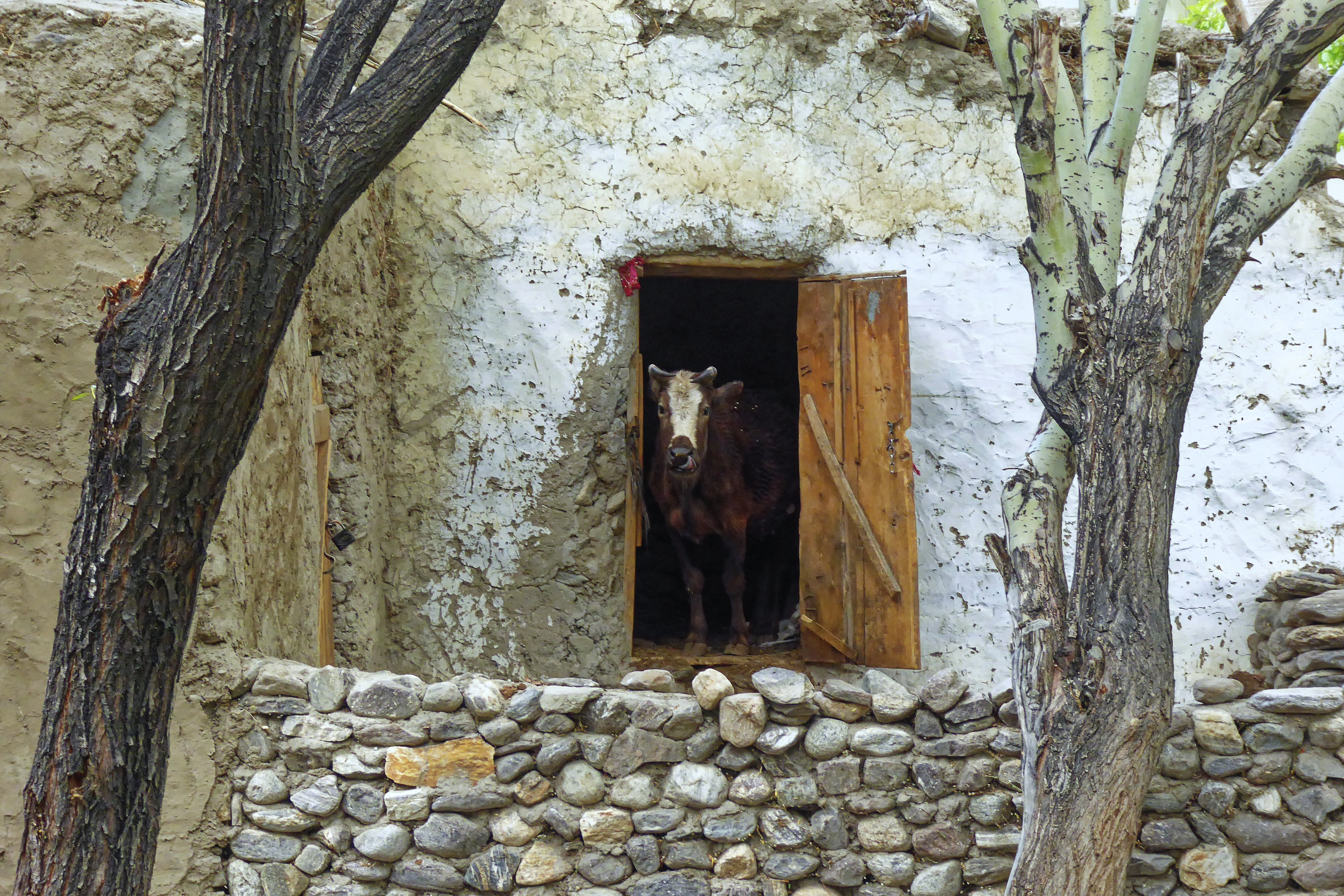 Tajikistan landscape — context for the long-term backcasting model